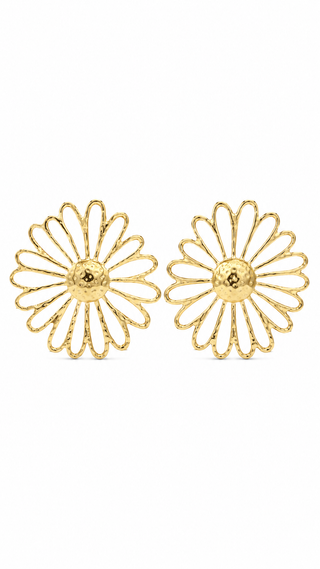 Boucles d’oreilles - Précieuses